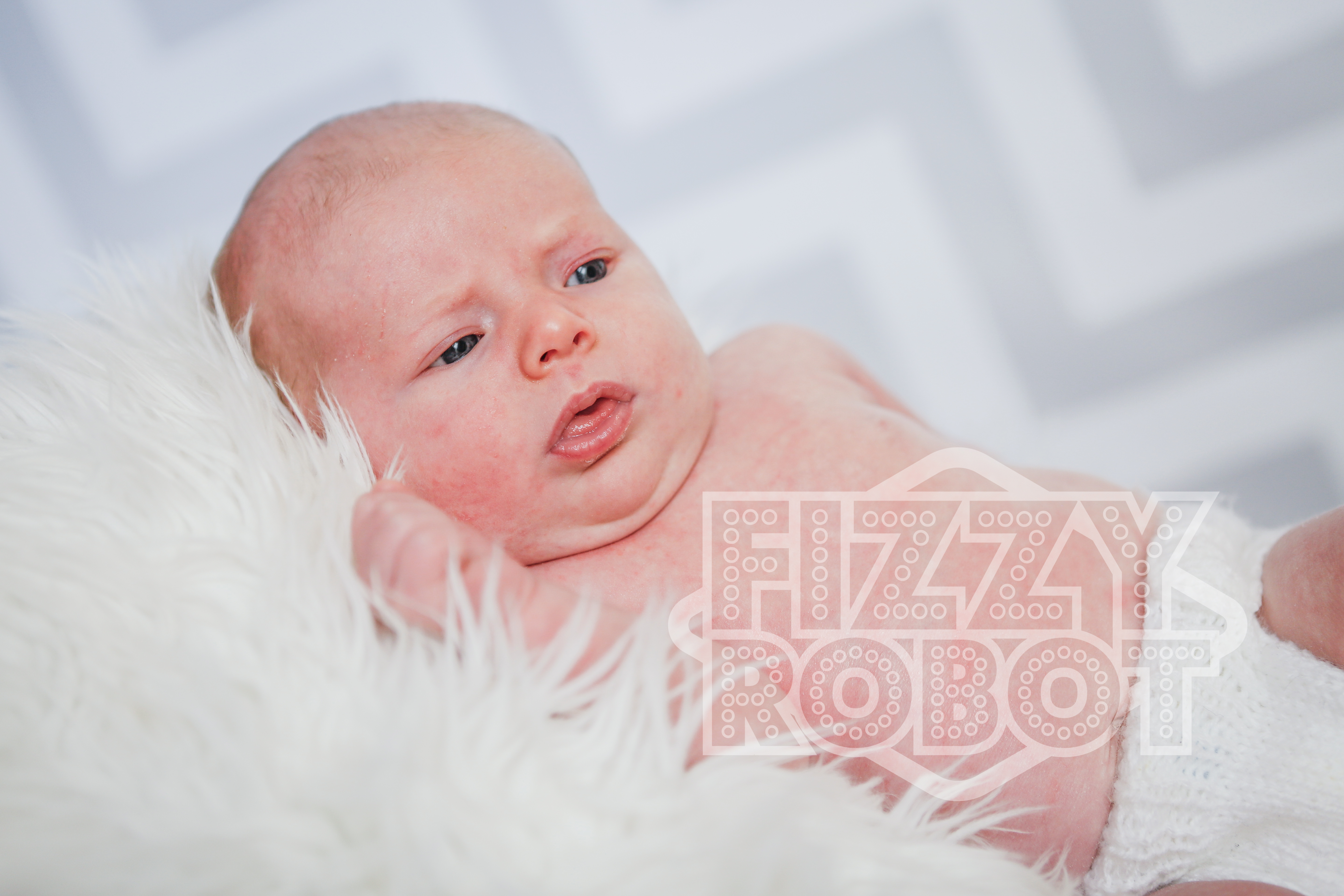 Willow4