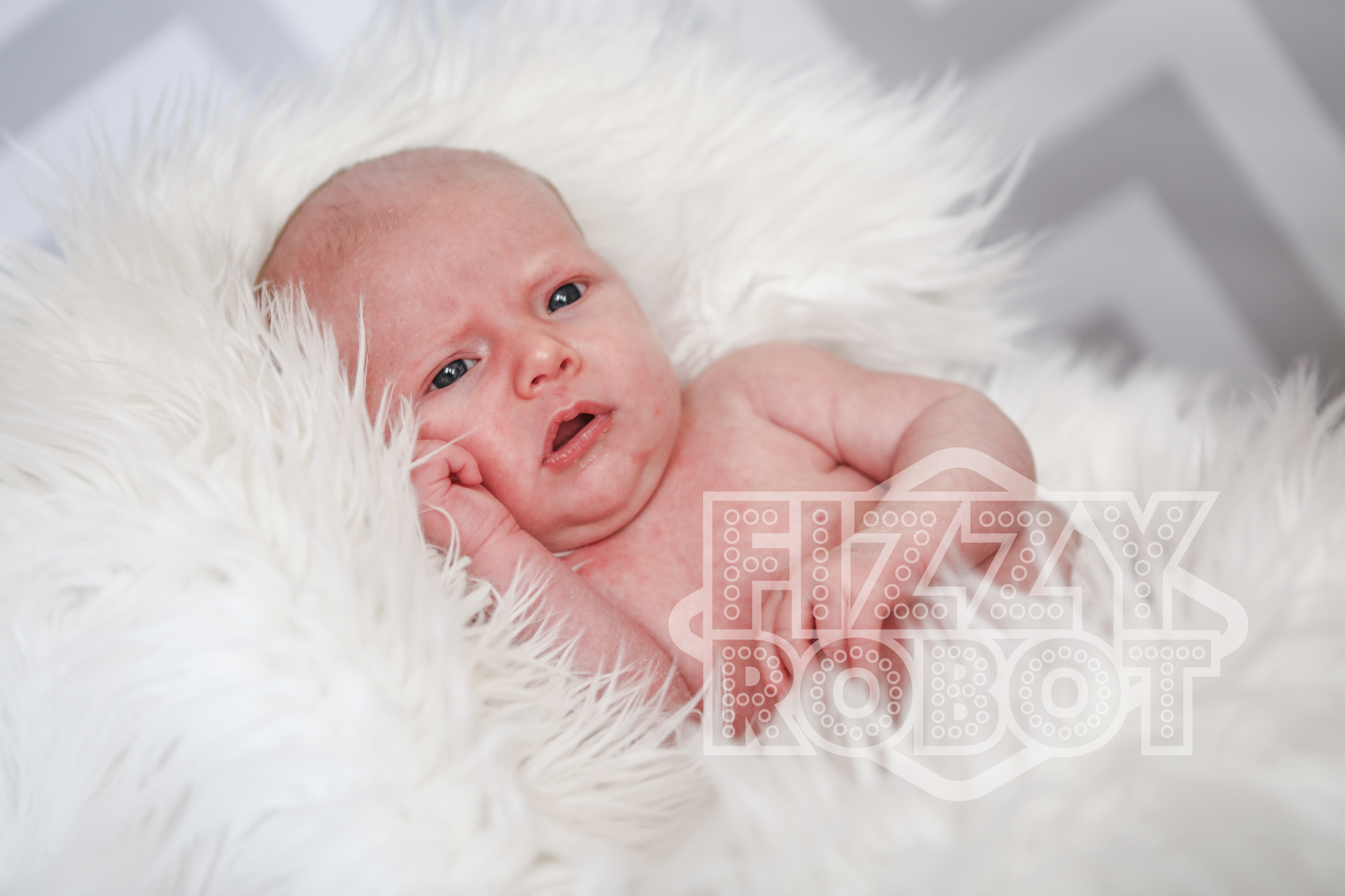 Willow8