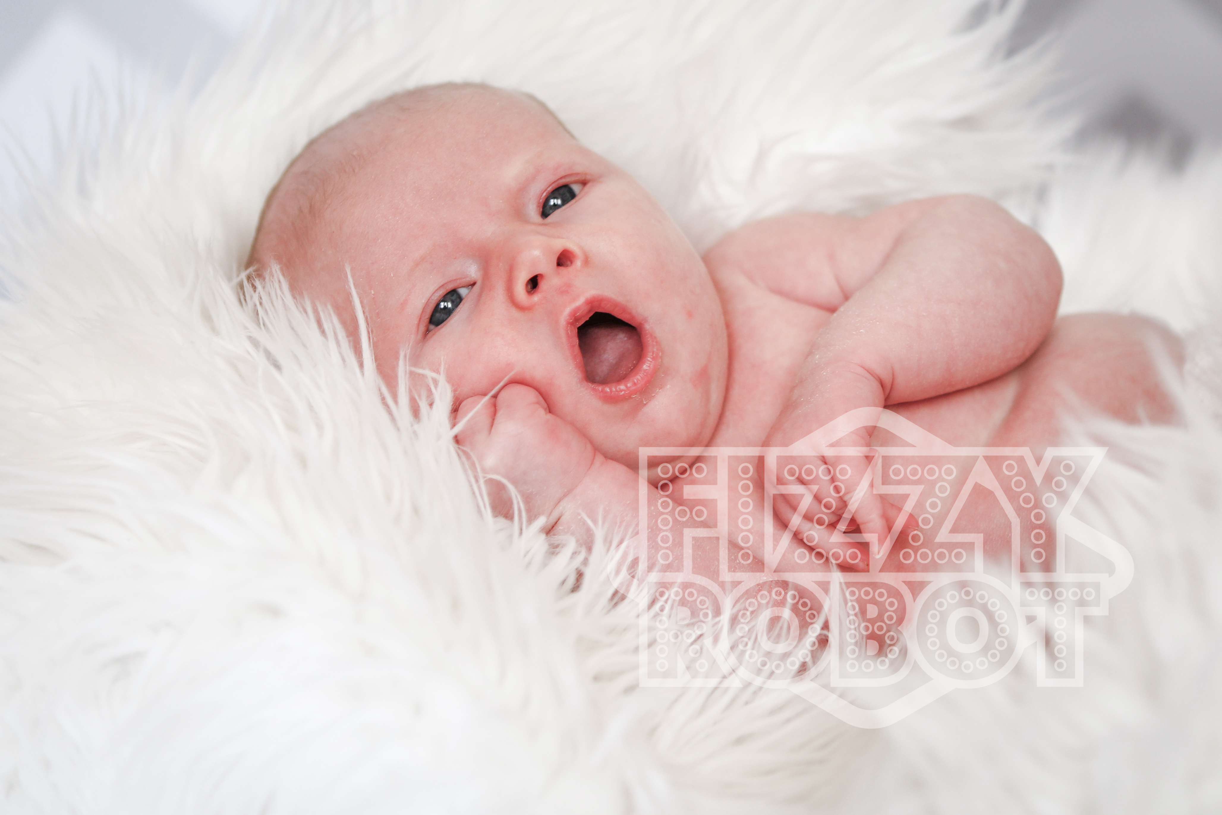 Willow9