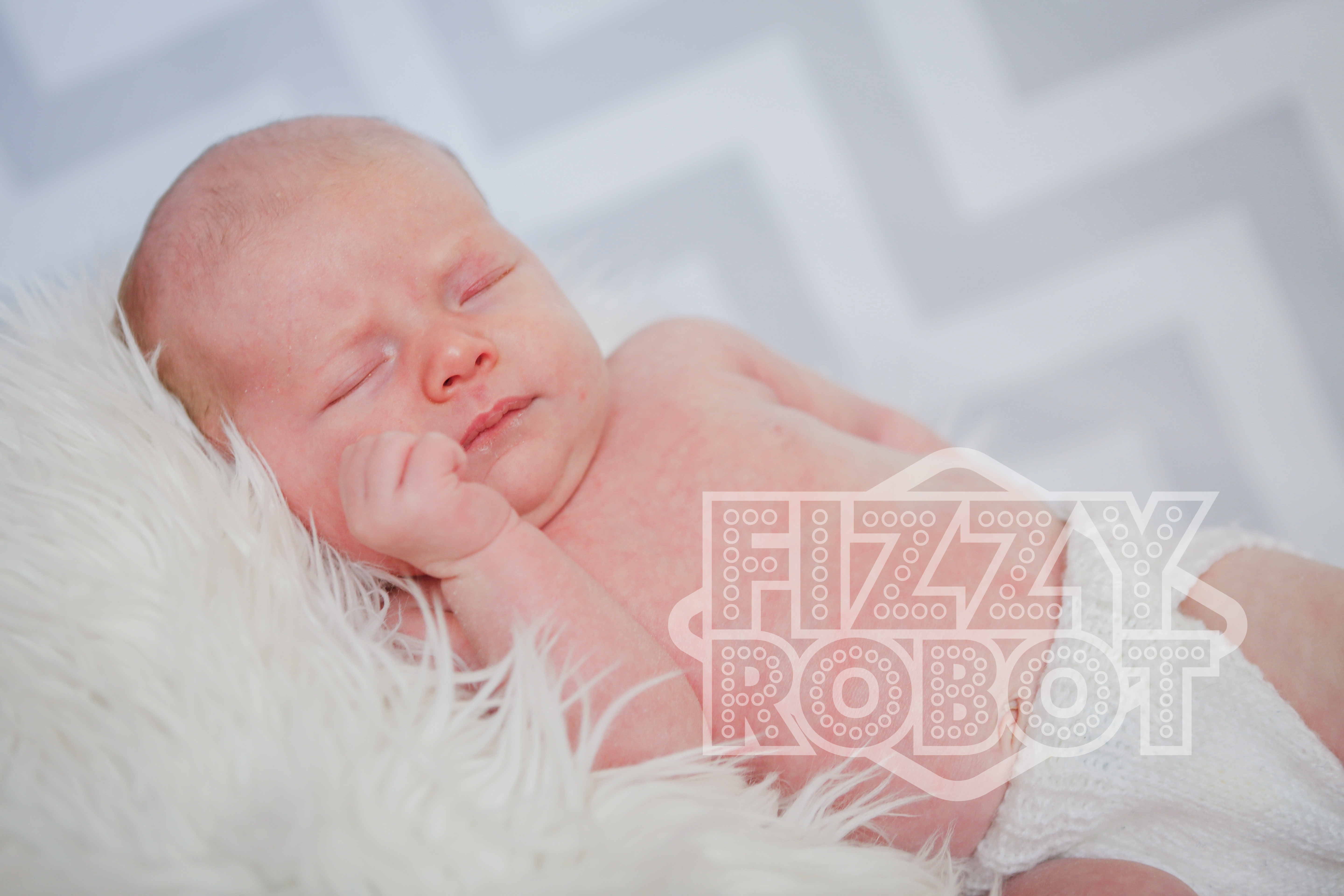 Willow1