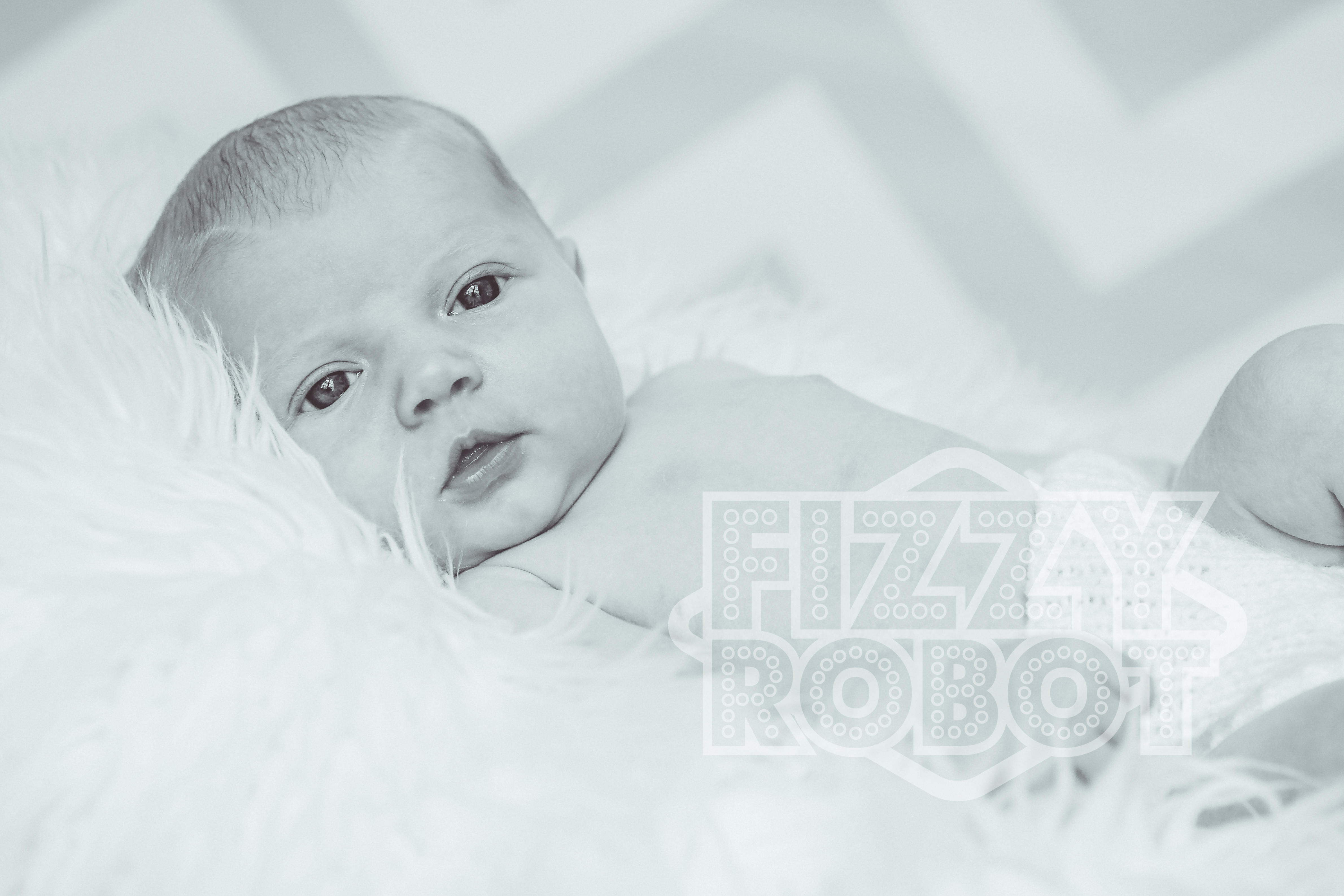 Rosie21