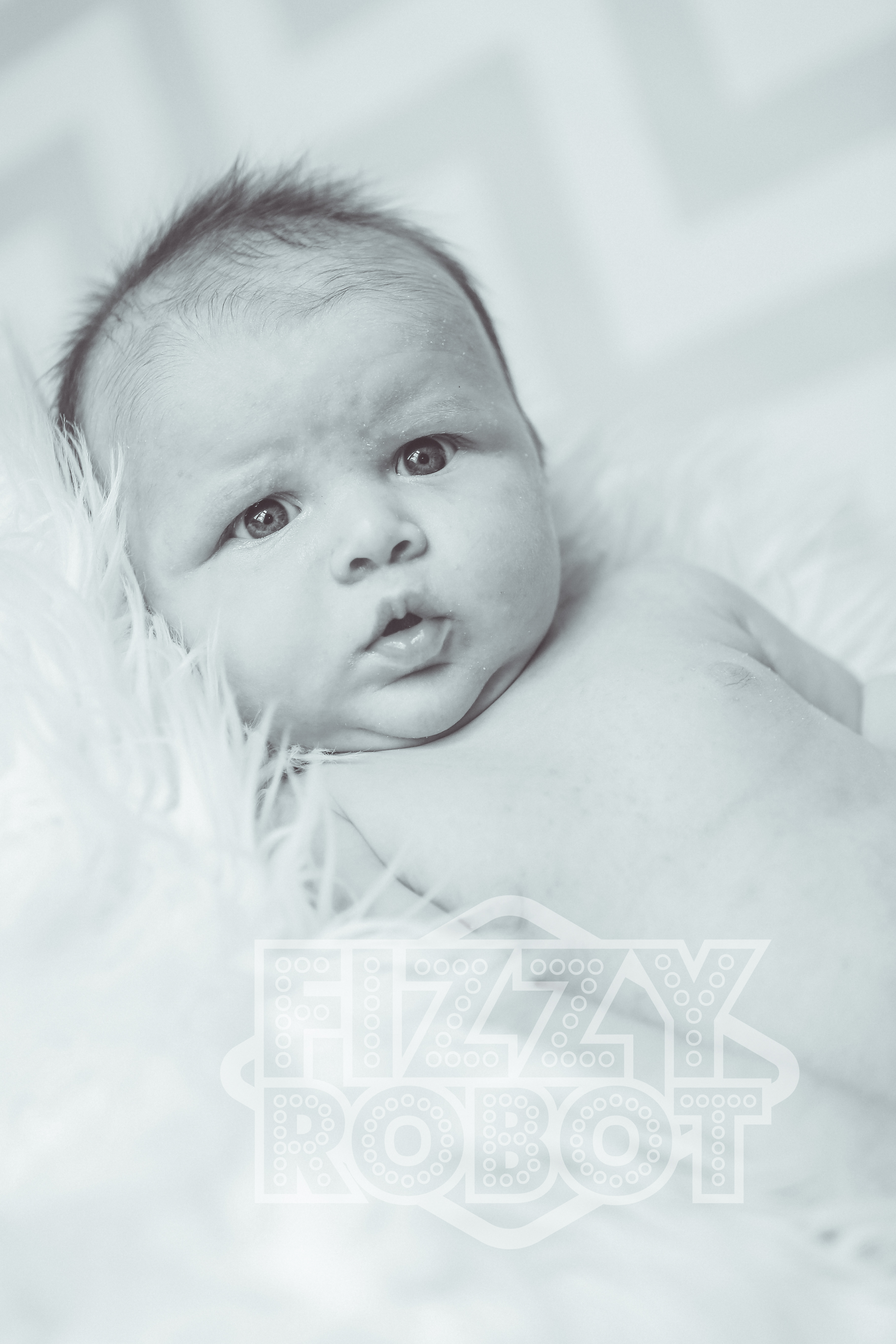 Lilly11