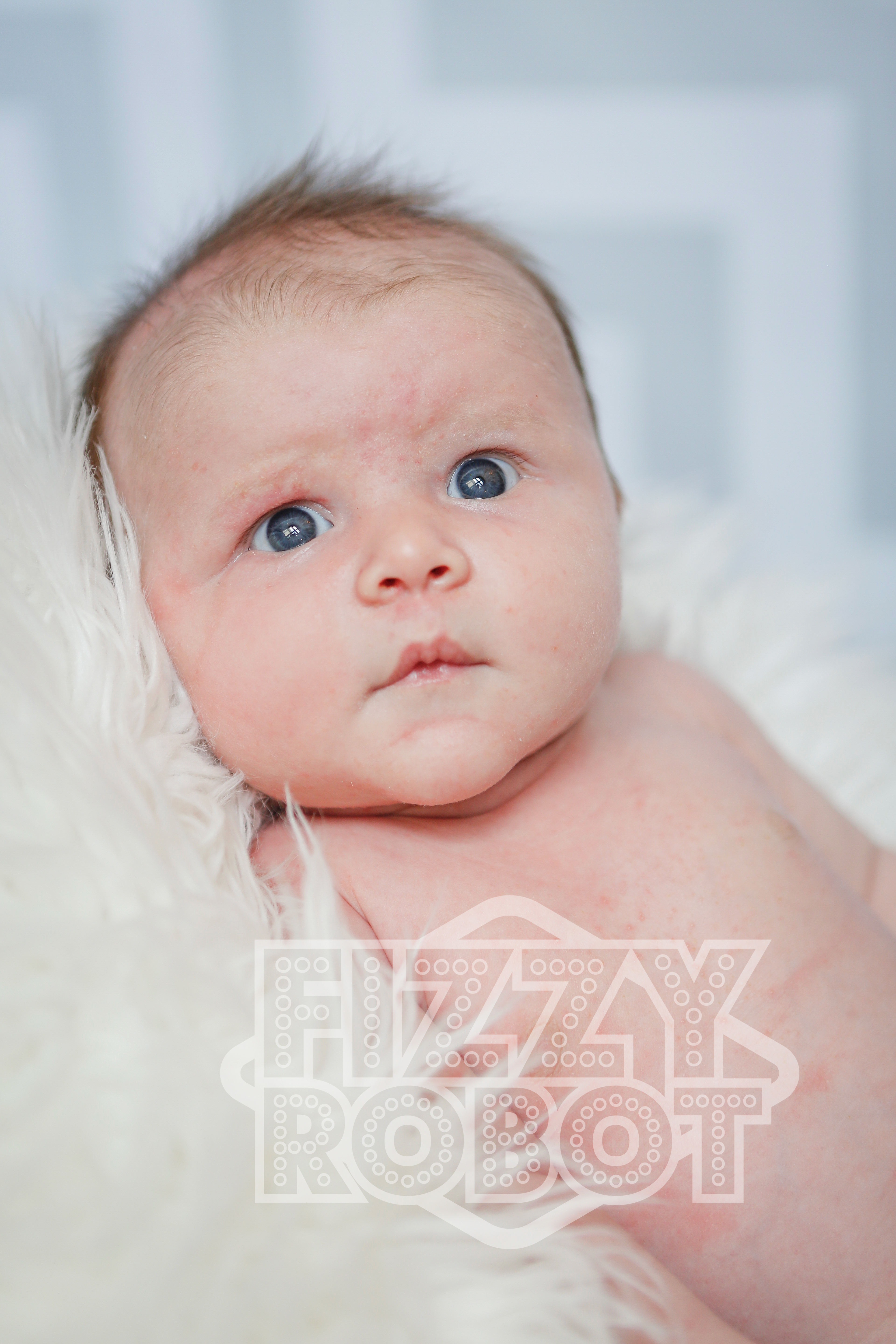 Lilly3
