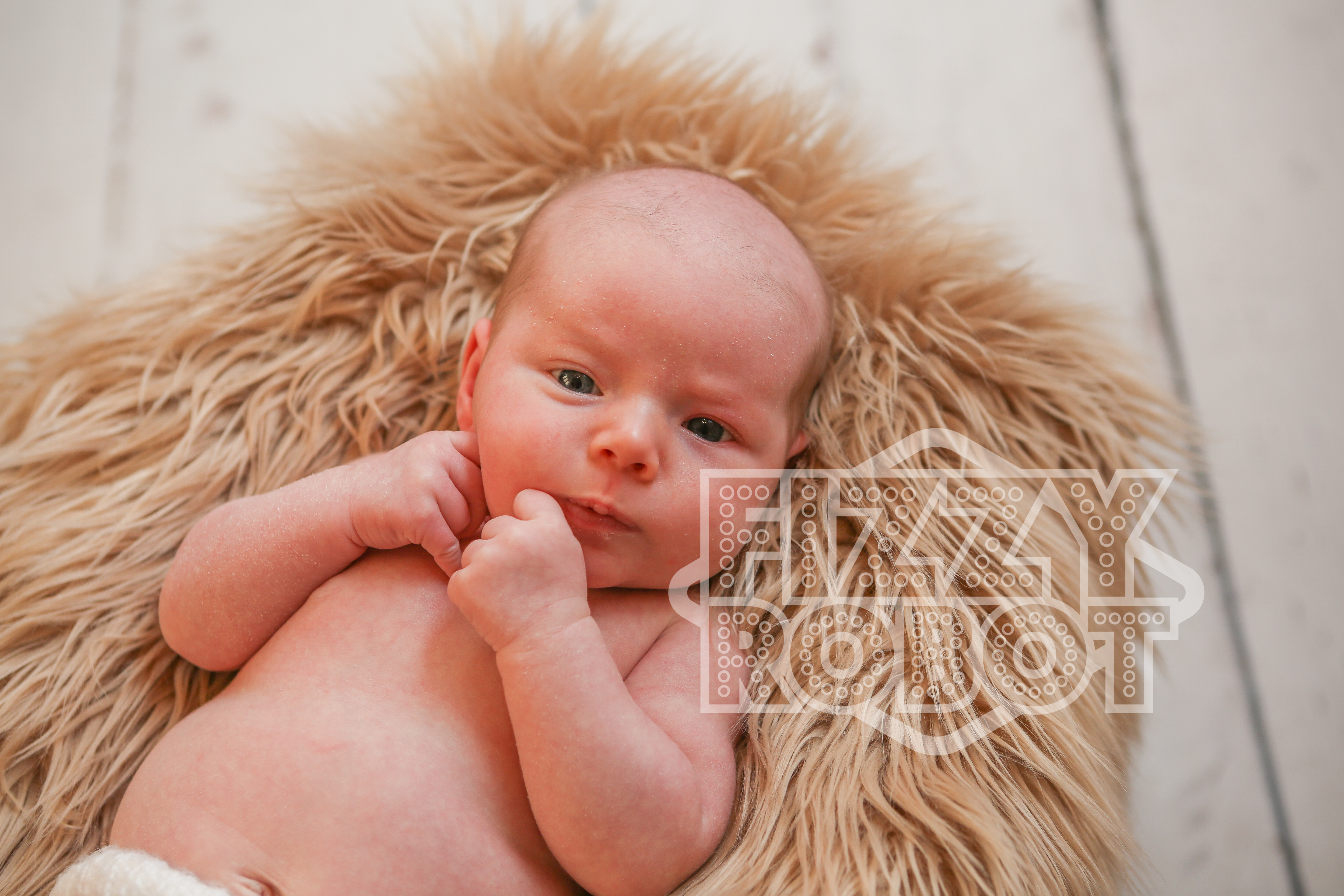 Willow57