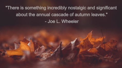 What Color Blends Reminds TGC of Autumn and the falling leaves?