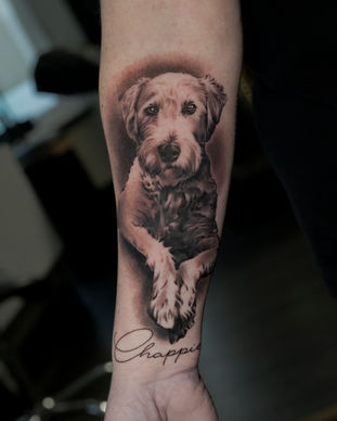 A black and grey portrait tattoo of a pet dog on an arm. Made in Llangefni, Isle of Anglesey, North Wales by Shelley Williams. 