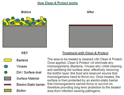 Clean & Protect Working.jpg
