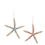 Thumbnail: Ornament Starfish