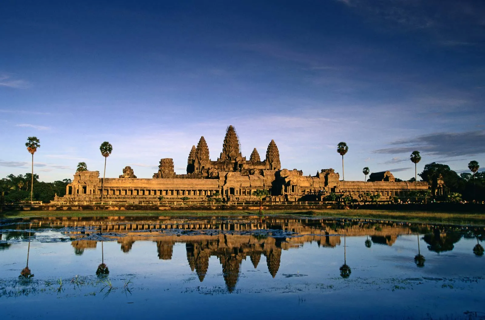 Qualith Cambodia.webp