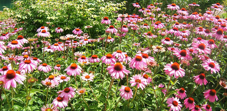 Heim (164).jpg