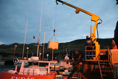 Canon 07.11.09 676.jpg