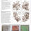 Thumbnail: May's Roses, IOD Transfer Pad, (4) 12" x 16" Sheets