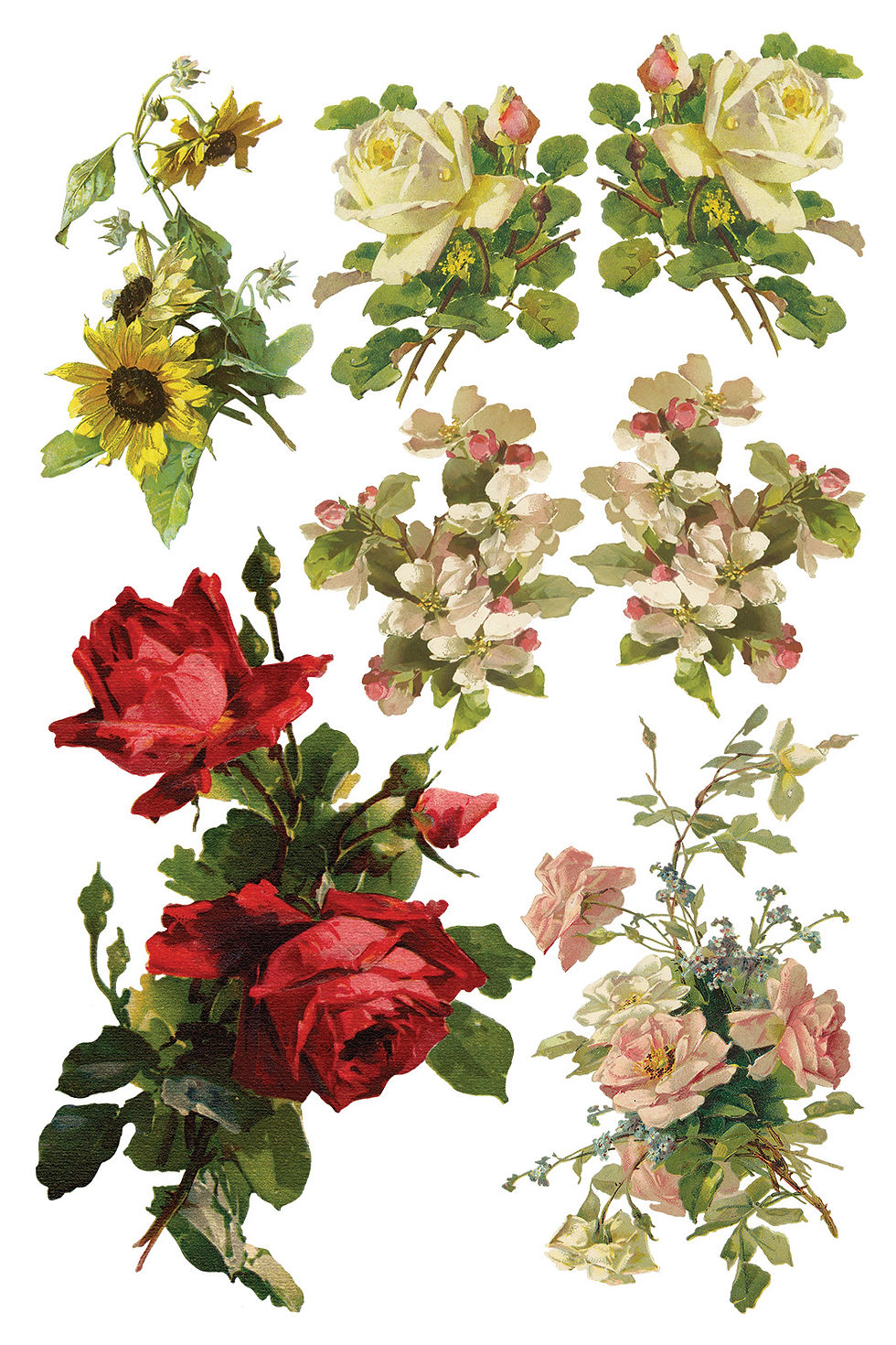 Thumbnail: Catharina IOD Transfer Pad, Iron Orchid Designs (8) 8" x 12" sheets
