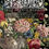 Thumbnail: June, Ode to Henry Fletcher, IOD Decor Transfer Pad, 12" x 16"