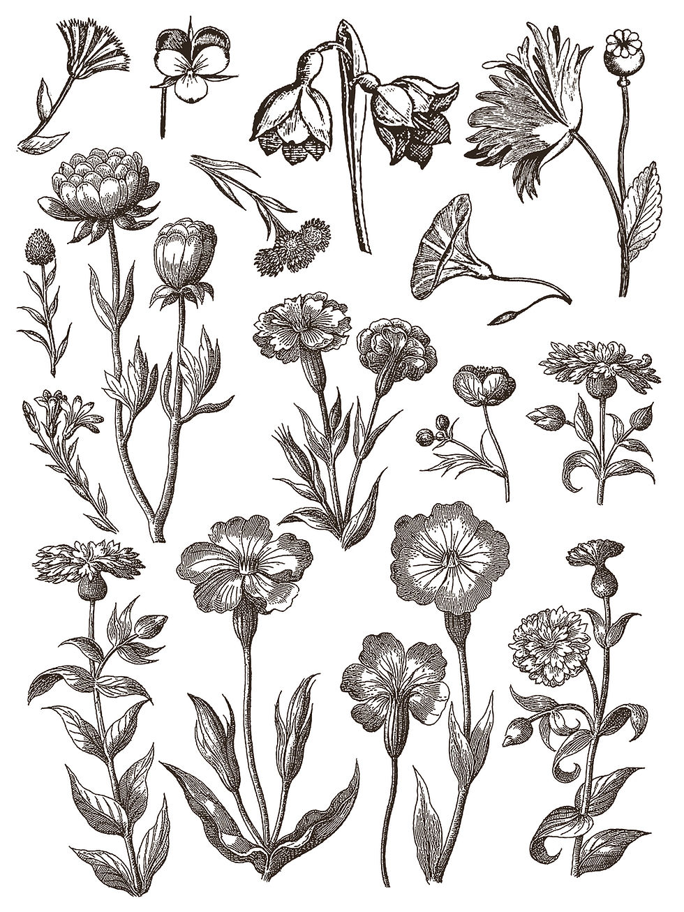 Thumbnail: Floriography Inlay, (8) 12" x 16" sheets, IOD, Iron Orchid Designs