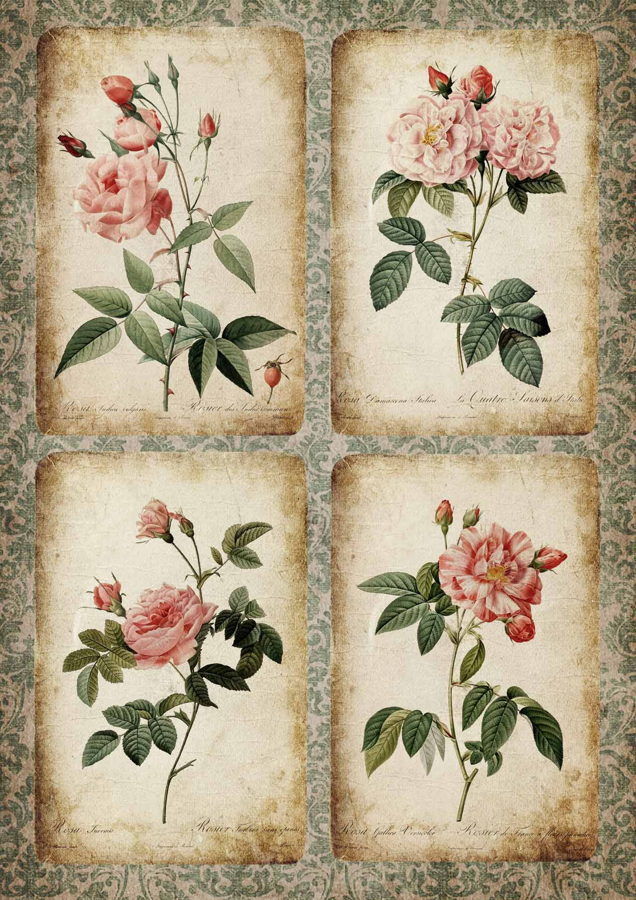 Rose Cards, Decoupage Queen Rice Paper