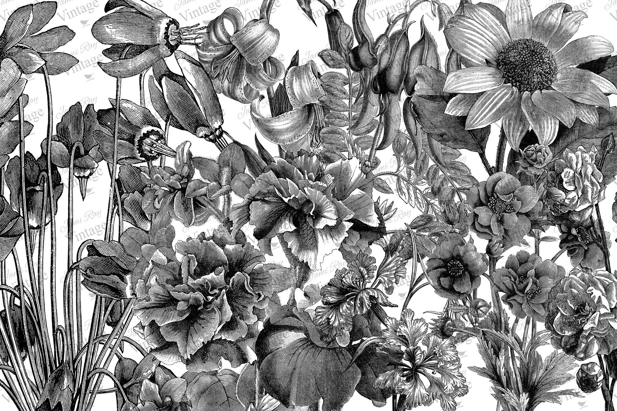 Black and White Floral, JRV Decoupage Paper, 30" x 20"