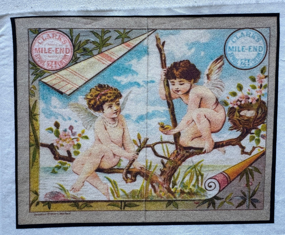 Thumbnail: Vintage Ads, Butterfly, Flowers, Seeds, Quilt Panel, Patch
