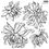 Thumbnail: Chrysanthemums (2 sheets), IOD Decor Stamp