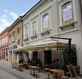 Pogon