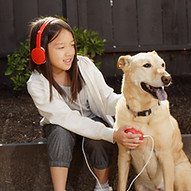 Heartbeats Brand Electronic Stethoscope-10X Amplification- Listen to your Dog's Heart
