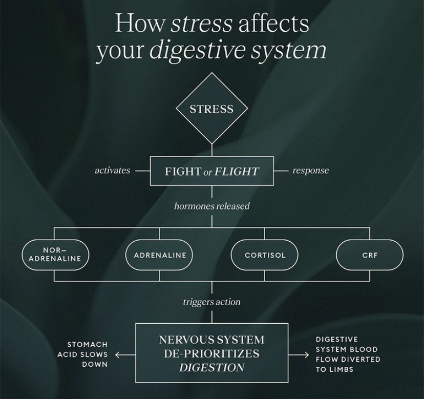 Whole body healing is important!! content media