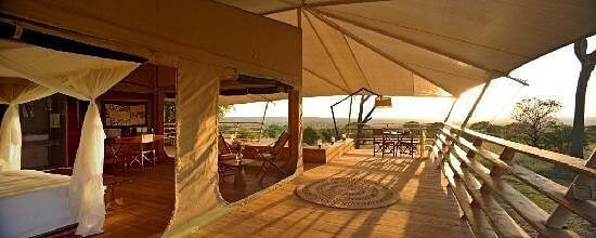 Serengeti Bushtops Luxury Camp - Tent View