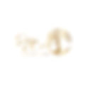 Sage _ Eve Photography - Logo.jpg