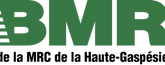 bmr.png