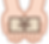 納税方法の確認と資金手当て