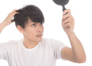 かつらのフセ