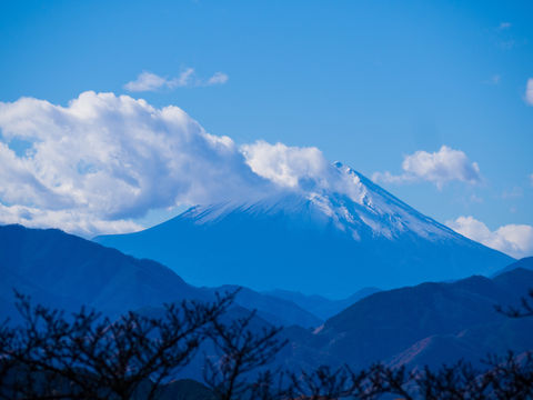 高尾山