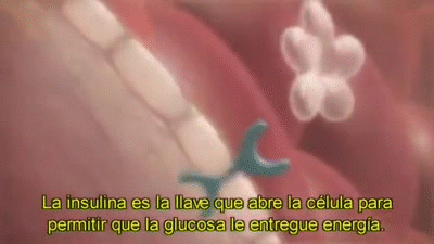 dXLtB4.gif