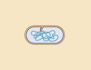 biparticion.gif