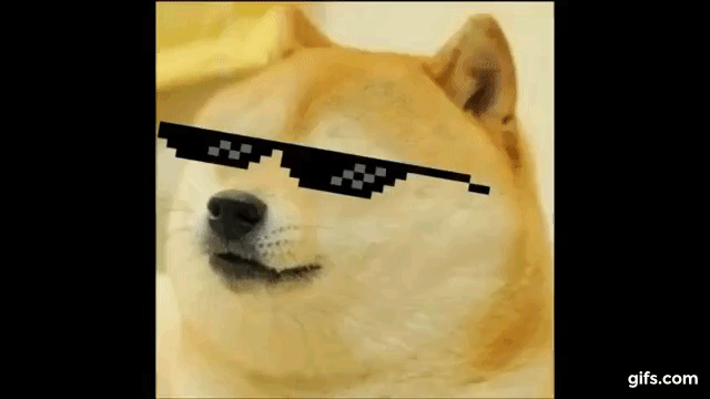 wjxw1M.gif