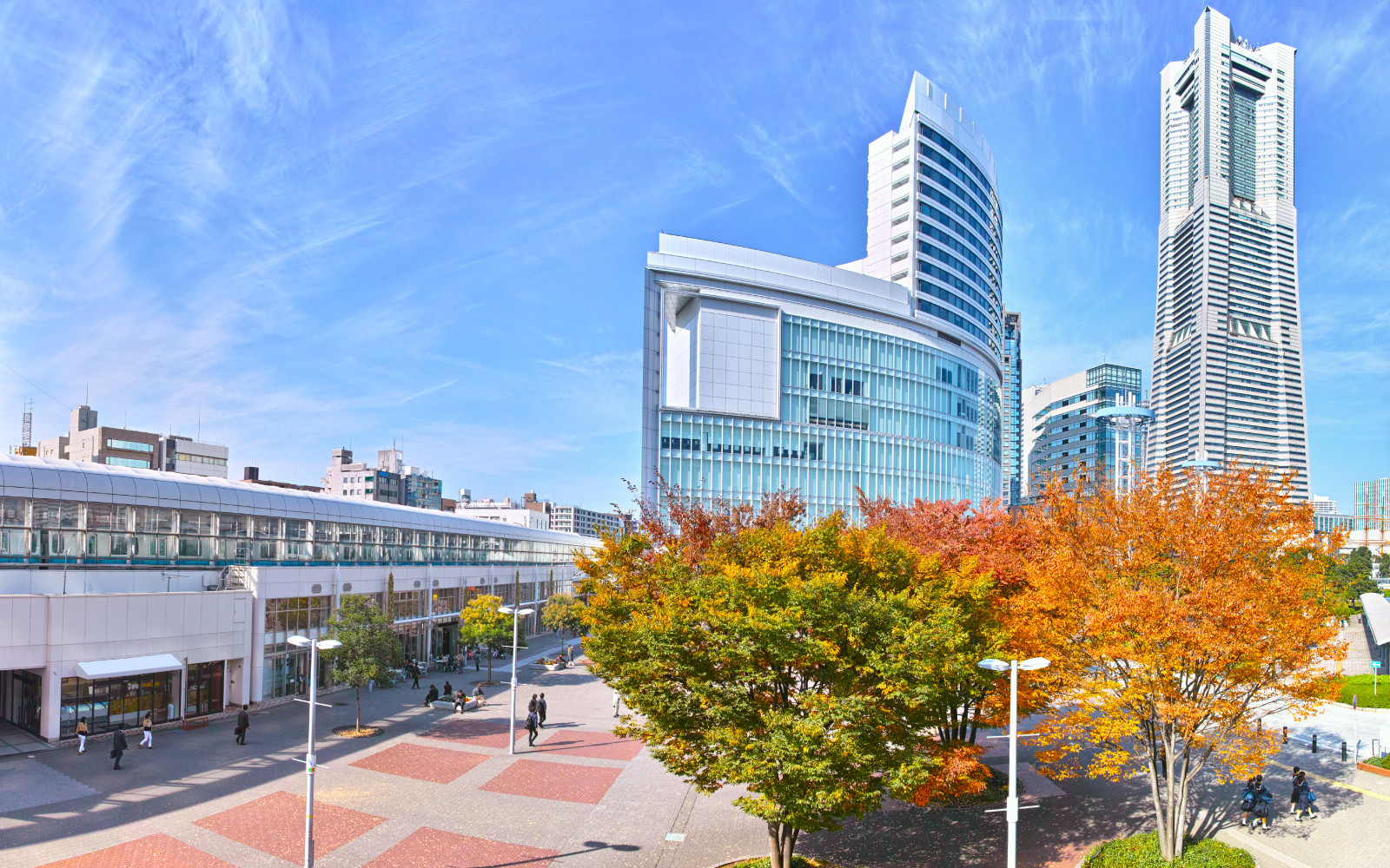 TOP|国際物流 株式会社パシフィック