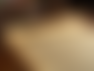 Discovering the Foundations of American Conservatism