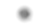 Screenshot 2024-02-02 at 1.02.48 PM.png