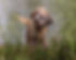 361940439_10228570184031541_6082493208876555935_n.jpg
