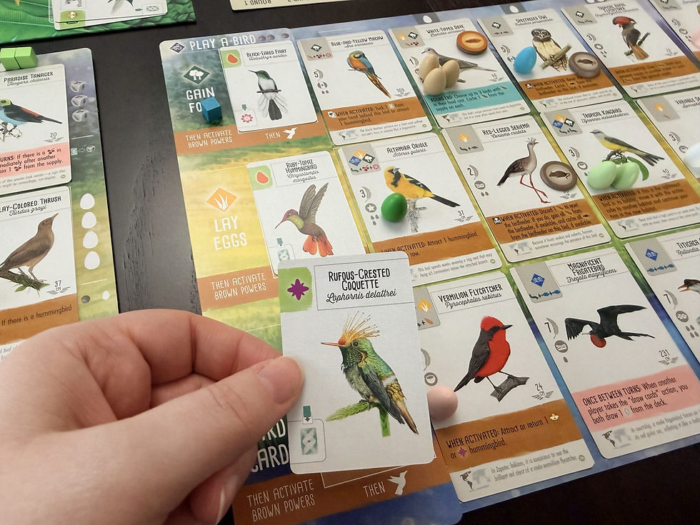 Wingspan Americas Expansion board game