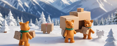 We Pay For Shipping