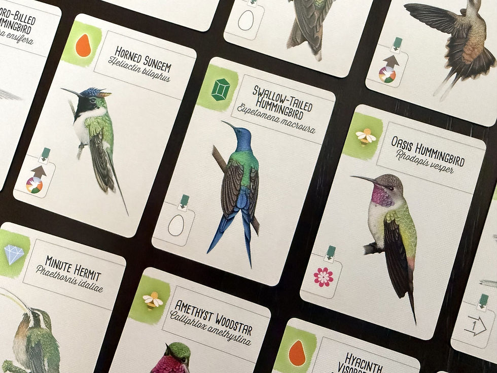 Thumbnail: Wingspan Americas Expansion board game
