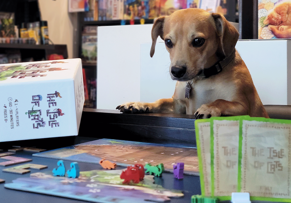 10 Ways to Level Up Your Board Gaming Experience  Board gaming is more than just rolling dice and moving meeples, it’s about creating memorable moments with friends and family. Whether you’re a casual player or a tabletop enthusiast, small tweaks and smart accessories can transform your game nights. Here are 10 practical ways to enhance your board gaming experience, from clever organization hacks to immersive upgrades.
