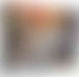 Risk was one of my favorite childhood board games because I liked the idea of world domination haha. There is a great amount of strategy in Risk, but the best strategy of all time can't overcome bad dice rolling. To avoid this pitfall, try out the board game Root. Root is also an area control board game within the forest. Every player plays with different animals that have their own abilities and winning objectives. This Asymmetric board game does have battle dice rolling which granted was another reason we loved Risk, but in Root bad dice rolls can be minimized. Going from Risk to Root can be bit of a challenge since its a little more complicated, but once you get the hang of the board game its totally worth it.