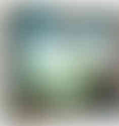 Dominion deck building board game is another one of my favorites that got me excited about this hobby.  Also Dominion has additional expansions that expand the game play and mechanics. Only negative thing about Dominion is when you figure out the main way to win (every time), it ruins the game. Clank specifically Clank Legacy is a deck building board game that amplifies a normal deck builder. In Clank Legacy, you utilize your cards to move throughout the dungeon, killing creatures, and trying to avoid the deadly dragon to collect artifacts. Since its a Legacy board game, the board and cards of the game continually are changed and modified.  Playing this game has been one of my most memorable and most fun gaming experience I have ever had! Good News for me! Clank Legacy 2 was just on Kickstarter.