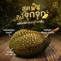 Fruits Morning1 ลูก.jpg