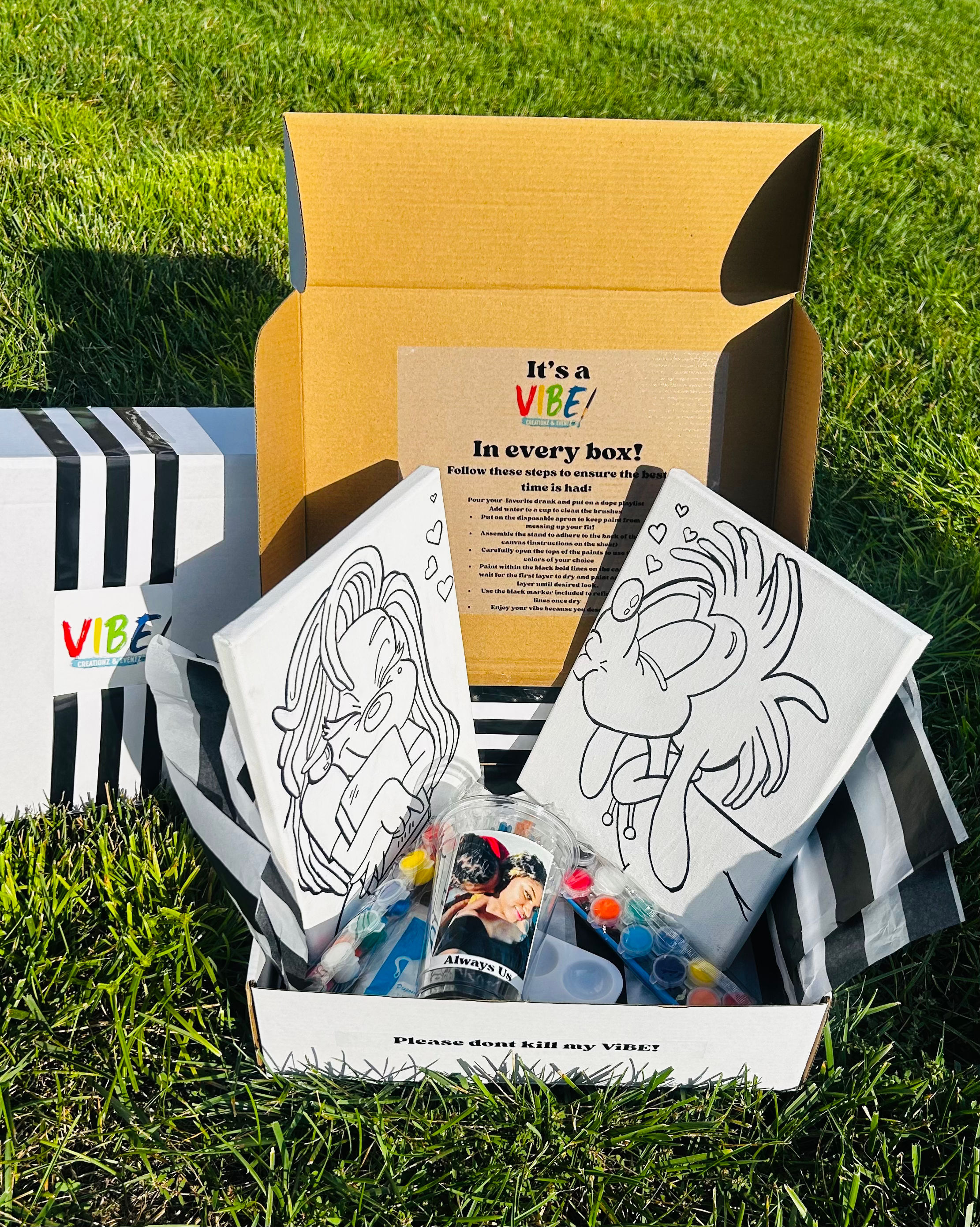 The ViBE Double Box! 