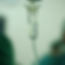IV_edited.jpg