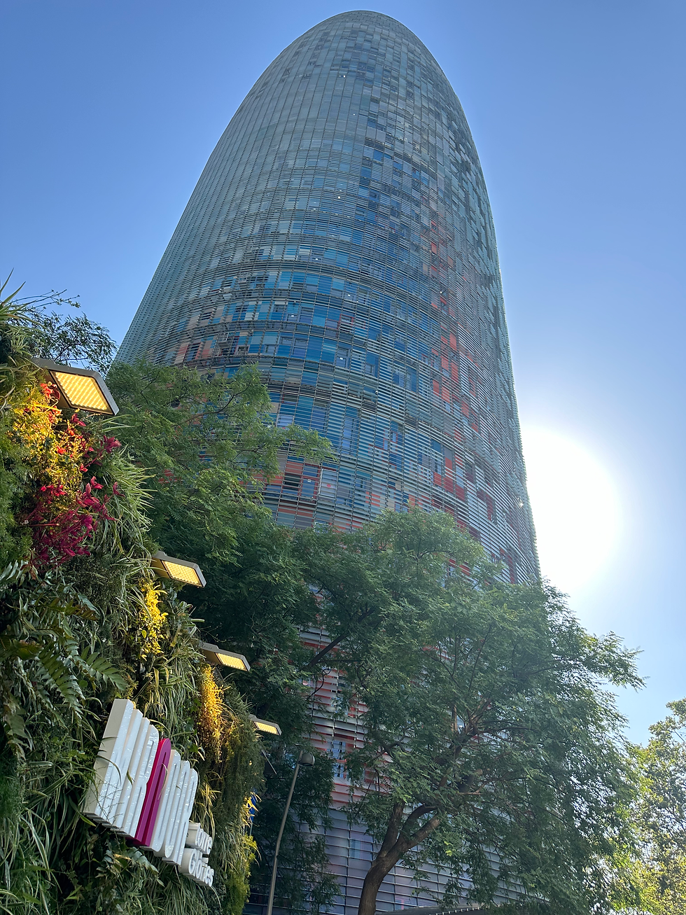 Mirador Torre Glòries