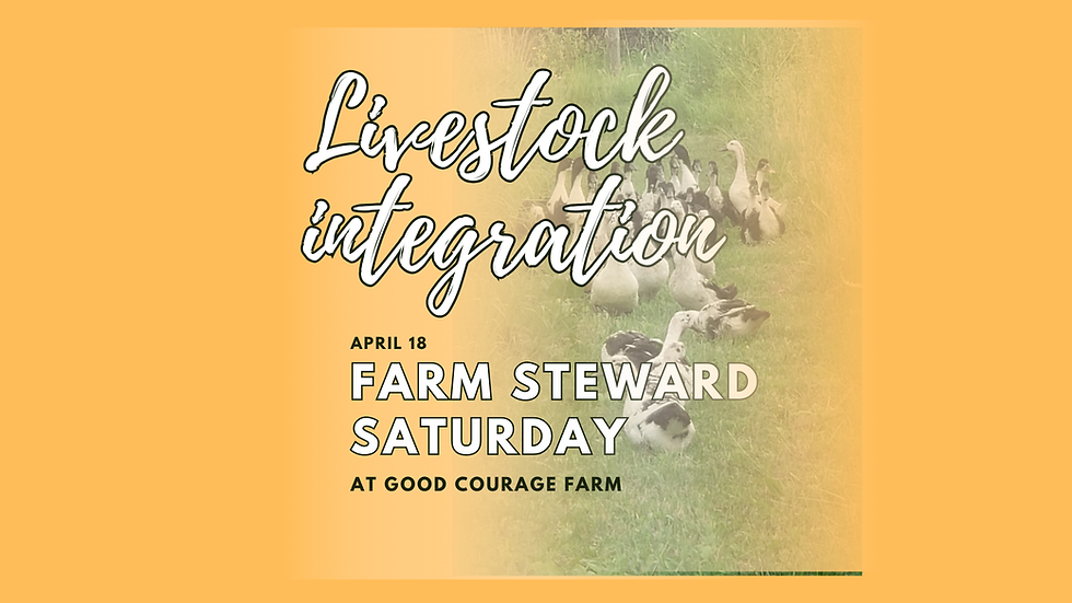 Farm Steward Saturdays